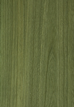 ModernWood Texture