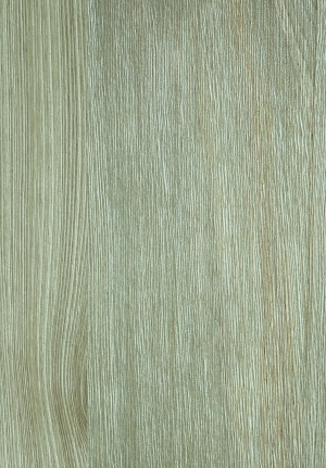 ModernWood Texture