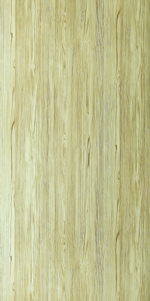 ModernWood Texture