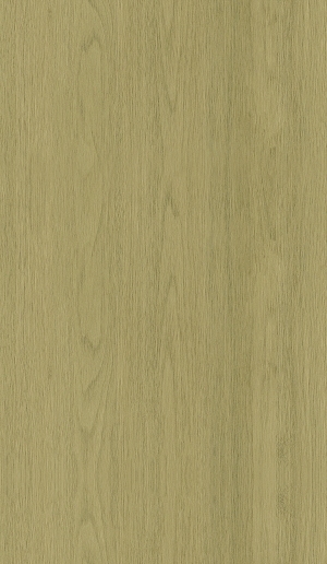 ModernWood Texture