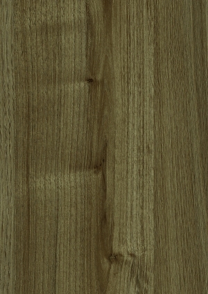 ModernWood Texture