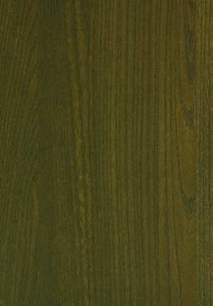 ModernWood Texture