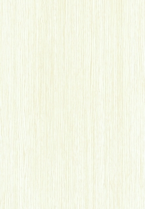 ModernWood Texture