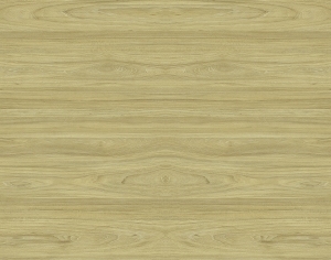 ModernWood Texture