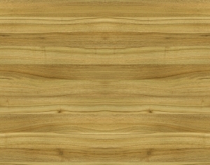 ModernWood Texture