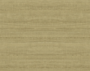 ModernWood Texture