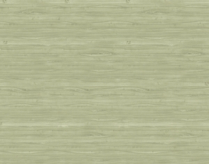ModernWood Texture