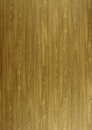 ModernWood Texture