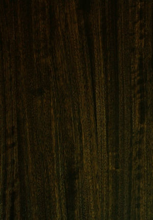 现代木纹-ID:695904021