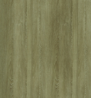 ModernWood Texture