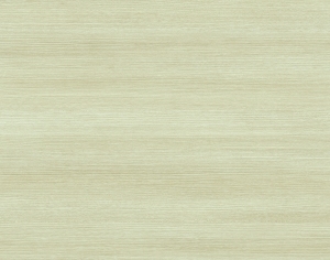 ModernWood Texture