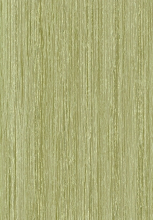 ModernWood Texture