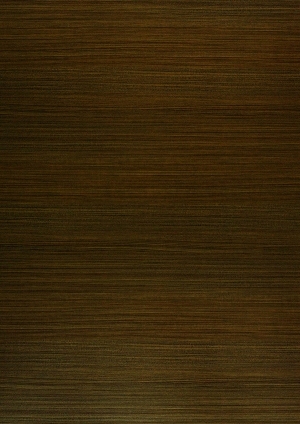 ModernWood Texture