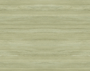 ModernWood Texture