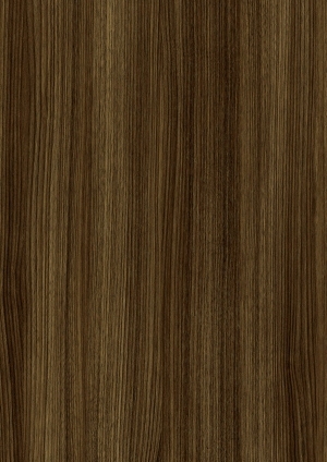 ModernWood Texture