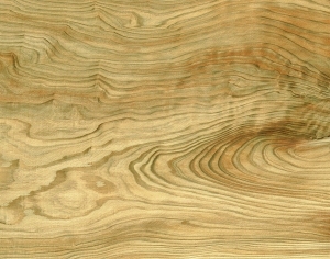 ModernWood Texture