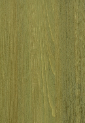 ModernWood Texture