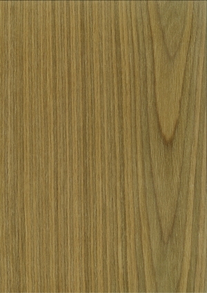 ModernWood Texture