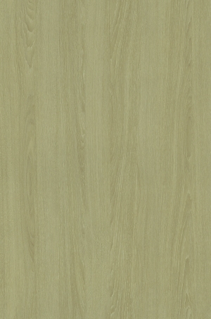 ModernWood Texture