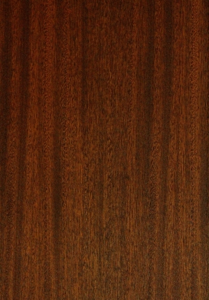现代木纹-ID:922009946