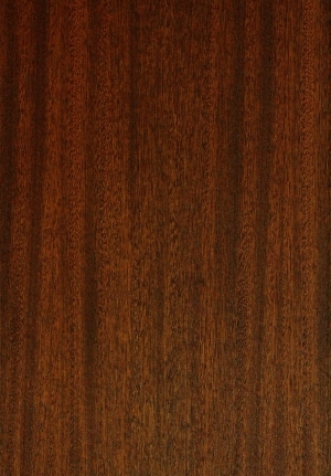 ModernWood Texture