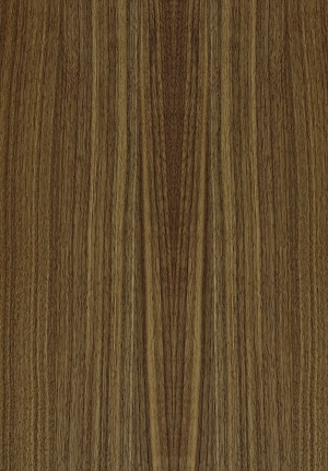 ModernWood Texture