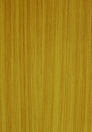 现代木纹-ID:968353997