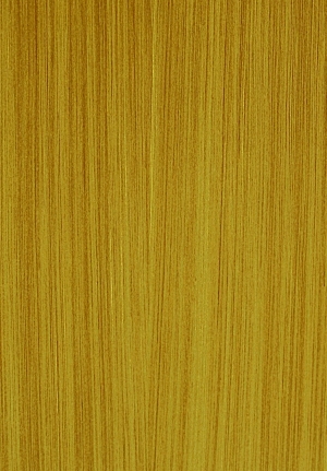 ModernWood Texture