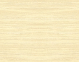 ModernWood Texture