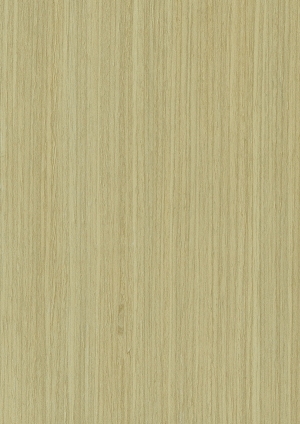 ModernWood Texture