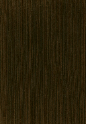 ModernWood Texture