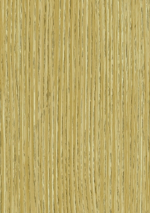 ModernWood Texture