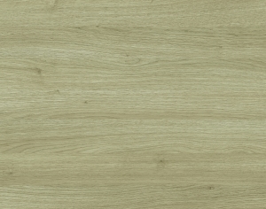 ModernWood Texture