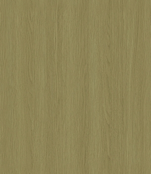 ModernWood Texture