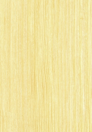 ModernWood Texture