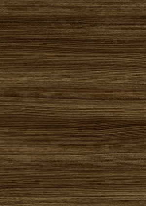 ModernWood Texture