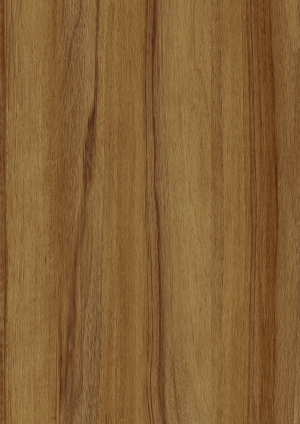ModernWood Texture