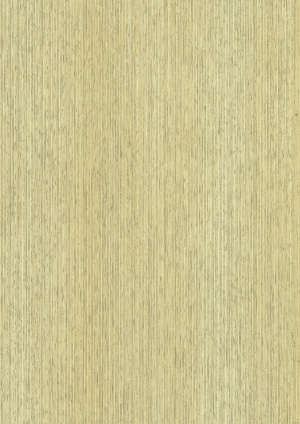 ModernWood Texture