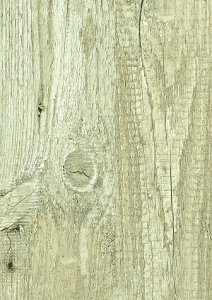 ModernWood Texture