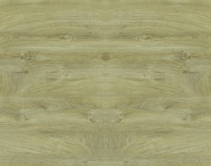ModernWood Texture