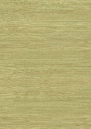 ModernWood Texture