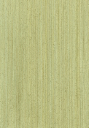ModernWood Texture