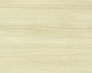 ModernWood Texture