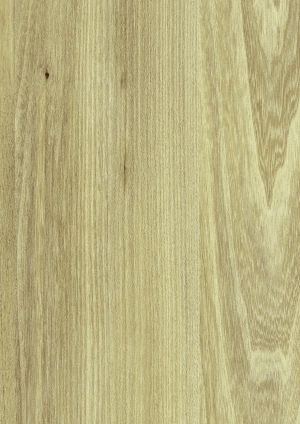 ModernWood Texture