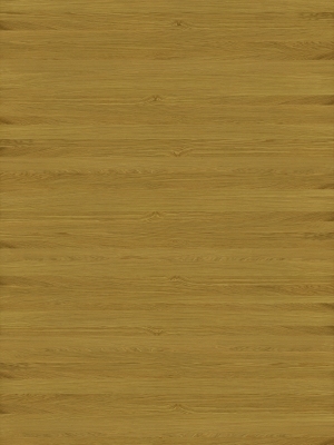 ModernWood Texture