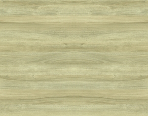 ModernWood Texture