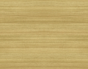ModernWood Texture