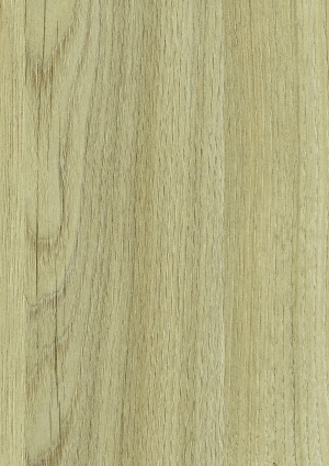 ModernWood Texture