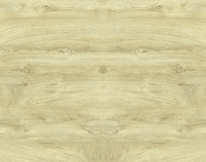 ModernWood Texture