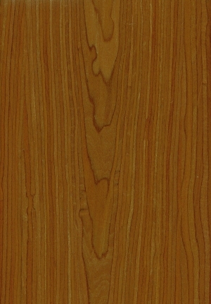 ModernWood Texture